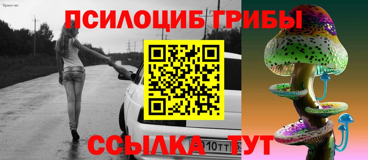 Обнинск  Псилоцибиновые грибы Psilocybine cubensis  Вход с VPN 